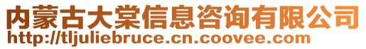 內(nèi)蒙古大棠信息咨詢有限公司