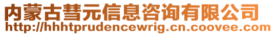 內蒙古彗元信息咨詢有限公司