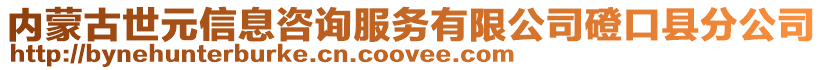 内蒙古世元信息咨询服务有限公司磴口县分公司