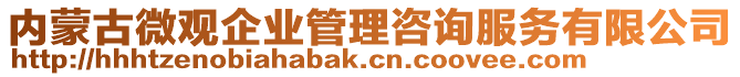 內(nèi)蒙古微觀企業(yè)管理咨詢服務(wù)有限公司