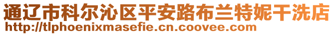 通遼市科爾沁區(qū)平安路布蘭特妮干洗店