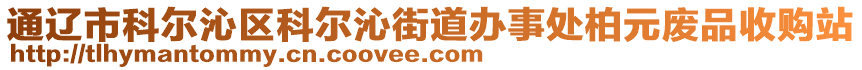 通遼市科爾沁區(qū)科爾沁街道辦事處柏元廢品收購站