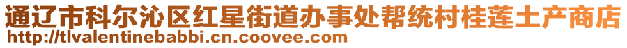 通遼市科爾沁區(qū)紅星街道辦事處幫統(tǒng)村桂蓮?fù)廉a(chǎn)商店