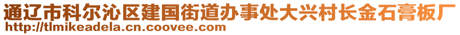 通遼市科爾沁區(qū)建國(guó)街道辦事處大興村長(zhǎng)金石膏板廠