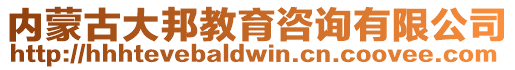 内蒙古大邦教育咨询有限公司