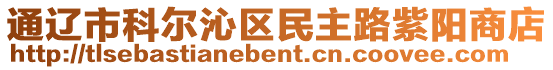 通辽市科尔沁区民主路紫阳商店