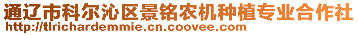 通遼市科爾沁區(qū)景銘農(nóng)機(jī)種植專業(yè)合作社