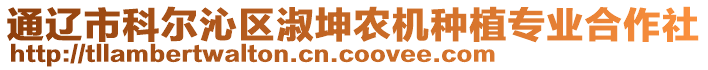 通遼市科爾沁區(qū)淑坤農(nóng)機種植專業(yè)合作社