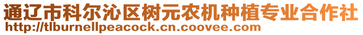 通遼市科爾沁區(qū)樹(shù)元農(nóng)機(jī)種植專業(yè)合作社