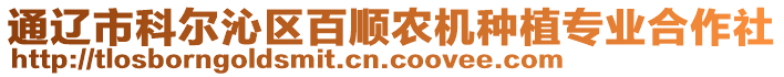 通遼市科爾沁區(qū)百順農(nóng)機(jī)種植專業(yè)合作社