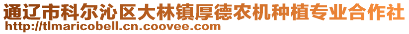 通遼市科爾沁區(qū)大林鎮(zhèn)厚德農(nóng)機(jī)種植專業(yè)合作社