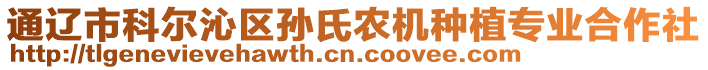 通遼市科爾沁區(qū)孫氏農(nóng)機(jī)種植專業(yè)合作社