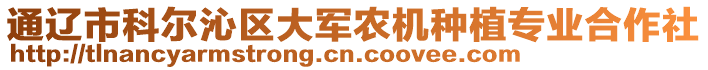 通遼市科爾沁區(qū)大軍農(nóng)機(jī)種植專業(yè)合作社