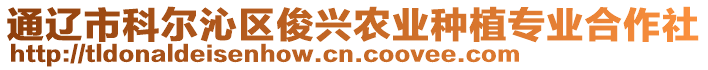 通遼市科爾沁區(qū)俊興農(nóng)業(yè)種植專業(yè)合作社