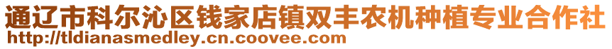 通遼市科爾沁區(qū)錢家店鎮(zhèn)雙豐農(nóng)機(jī)種植專業(yè)合作社