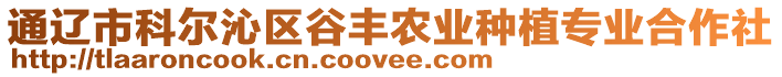 通遼市科爾沁區(qū)谷豐農(nóng)業(yè)種植專業(yè)合作社