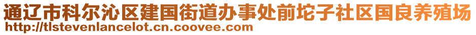 通遼市科爾沁區(qū)建國(guó)街道辦事處前坨子社區(qū)國(guó)良養(yǎng)殖場(chǎng)