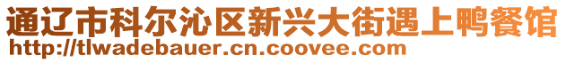 通遼市科爾沁區(qū)新興大街遇上鴨餐館