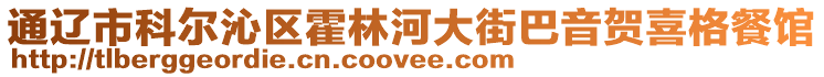 通遼市科爾沁區(qū)霍林河大街巴音賀喜格餐館