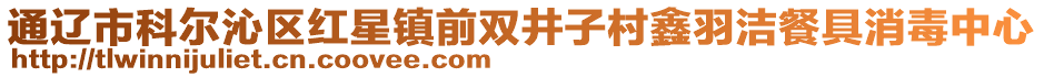 通遼市科爾沁區(qū)紅星鎮(zhèn)前雙井子村鑫羽潔餐具消毒中心