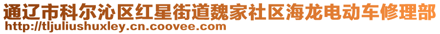 通遼市科爾沁區(qū)紅星街道魏家社區(qū)海龍電動(dòng)車修理部