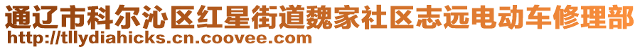 通遼市科爾沁區(qū)紅星街道魏家社區(qū)志遠(yuǎn)電動車修理部