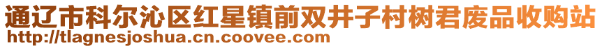 通遼市科爾沁區(qū)紅星鎮(zhèn)前雙井子村樹(shù)君廢品收購(gòu)站