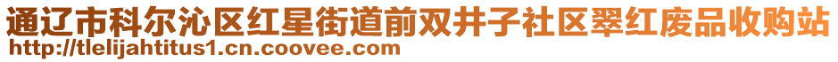 通遼市科爾沁區(qū)紅星街道前雙井子社區(qū)翠紅廢品收購站