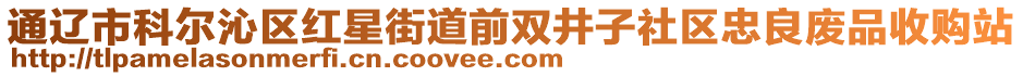 通遼市科爾沁區(qū)紅星街道前雙井子社區(qū)忠良廢品收購站