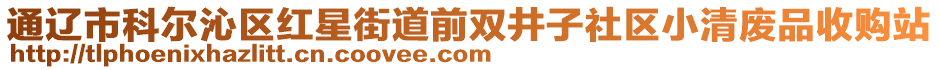 通遼市科爾沁區(qū)紅星街道前雙井子社區(qū)小清廢品收購站