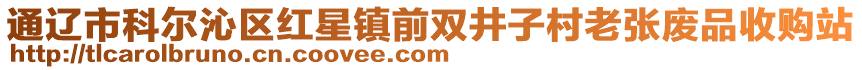 通遼市科爾沁區(qū)紅星鎮(zhèn)前雙井子村老張廢品收購站