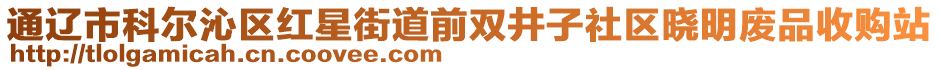 通遼市科爾沁區(qū)紅星街道前雙井子社區(qū)曉明廢品收購站