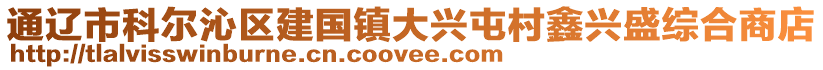 通遼市科爾沁區(qū)建國鎮(zhèn)大興屯村鑫興盛綜合商店