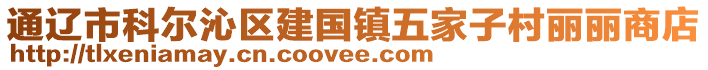 通遼市科爾沁區(qū)建國(guó)鎮(zhèn)五家子村麗麗商店