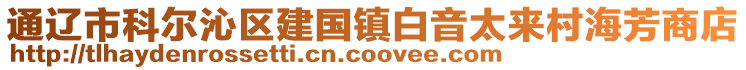 通遼市科爾沁區建國鎮白音太來村海芳商店