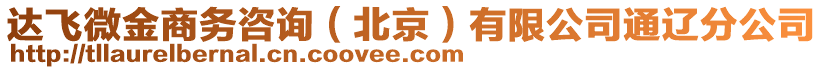 達(dá)飛微金商務(wù)咨詢（北京）有限公司通遼分公司