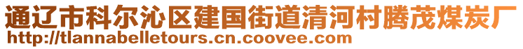 通遼市科爾沁區(qū)建國街道清河村騰茂煤炭廠