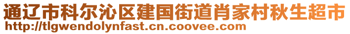 通遼市科爾沁區(qū)建國街道肖家村秋生超市