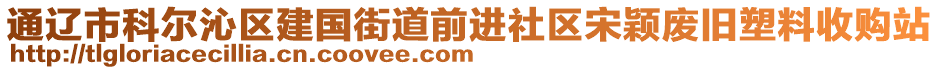 通遼市科爾沁區(qū)建國街道前進(jìn)社區(qū)宋穎廢舊塑料收購站