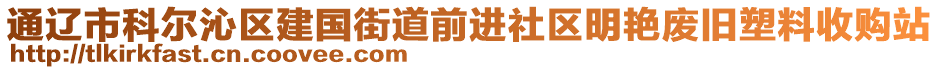 通遼市科爾沁區(qū)建國街道前進社區(qū)明艷廢舊塑料收購站