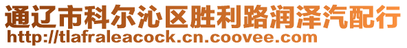 通遼市科爾沁區(qū)勝利路潤澤汽配行