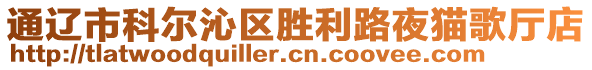 通遼市科爾沁區(qū)勝利路夜貓歌廳店