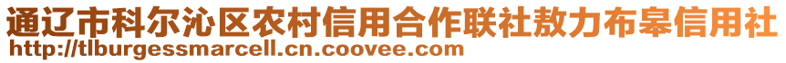 通遼市科爾沁區(qū)農村信用合作聯(lián)社敖力布皋信用社