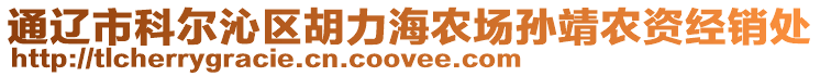 通遼市科爾沁區(qū)胡力海農(nóng)場孫靖農(nóng)資經(jīng)銷處