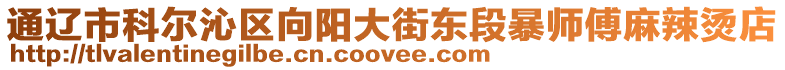 通遼市科爾沁區向陽大街東段暴師傅麻辣燙店