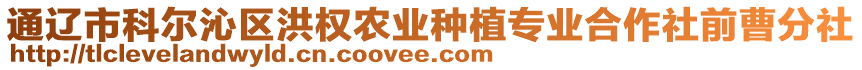 通遼市科爾沁區(qū)洪權(quán)農(nóng)業(yè)種植專業(yè)合作社前曹分社