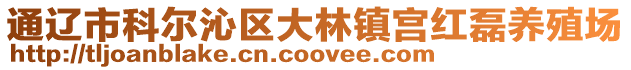 通遼市科爾沁區大林鎮宮紅磊養殖場