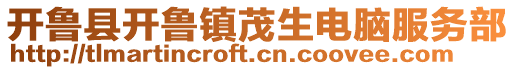 开鲁县开鲁镇茂生电脑服务部