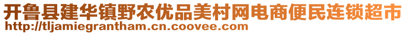 開魯縣建華鎮(zhèn)野農(nóng)優(yōu)品美村網(wǎng)電商便民連鎖超市