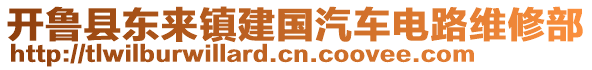 開魯縣東來鎮(zhèn)建國(guó)汽車電路維修部